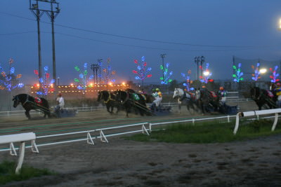 IMG_5872.jpg